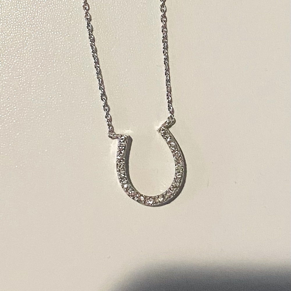 Sterling Silver Crystal Horseshoe Necklace